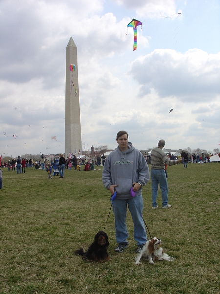 Kite Festival 2006 01.jpg